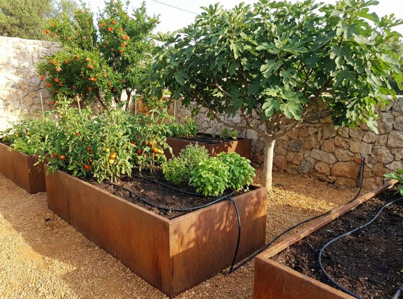 Potagers surélevés en acier corten et arbres fruitiers