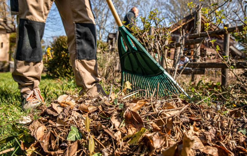 Et si entretenir votre jardin avec Paysage Méditerranée vous faisait économiser ?
