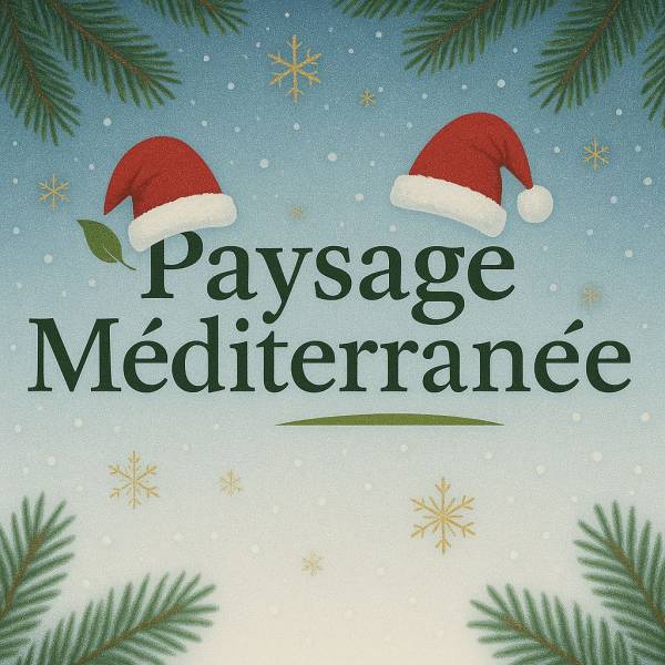 Paysage Méditerranée vous souhaite de Joyeuses Fêtes !