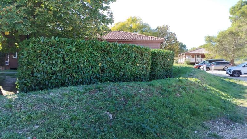 Entretien des espaces verts d'une résidence de vacances à Carnoux-en-Provence