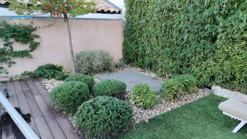Entretien de jardin contemporain à Venelles (13)