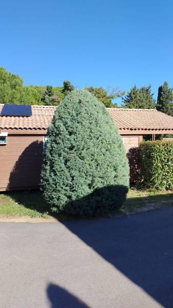 Entretien des espaces verts d'une résidence de vacances à Carnoux-en-Provence