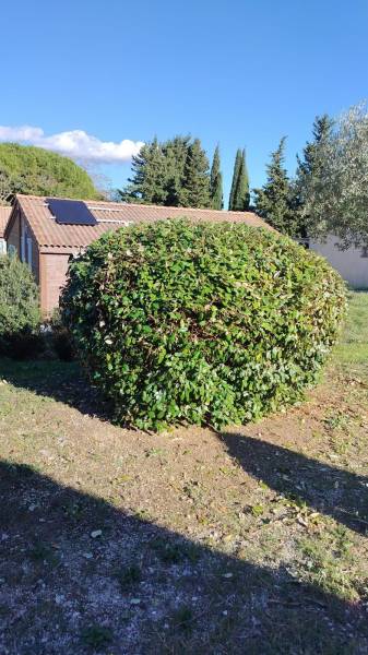 Entretien des espaces verts d'une résidence de vacances à Carnoux-en-Provence